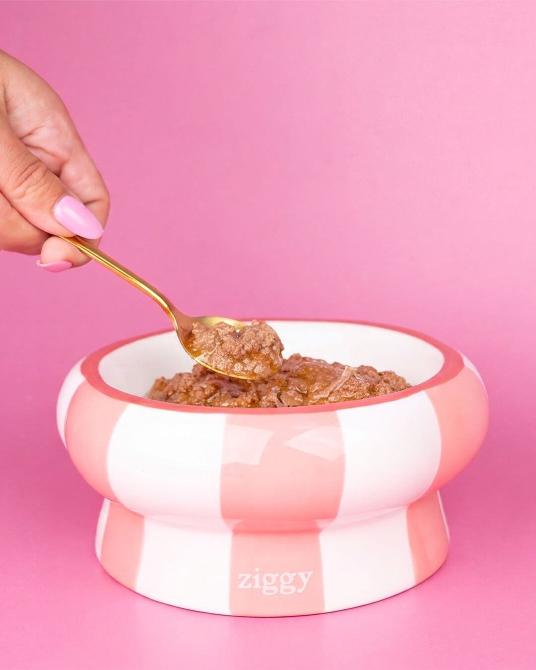 Cuillère de mousse Ziggy pour chaton stérilisé au poulet tenue au-dessus d’une gamelle