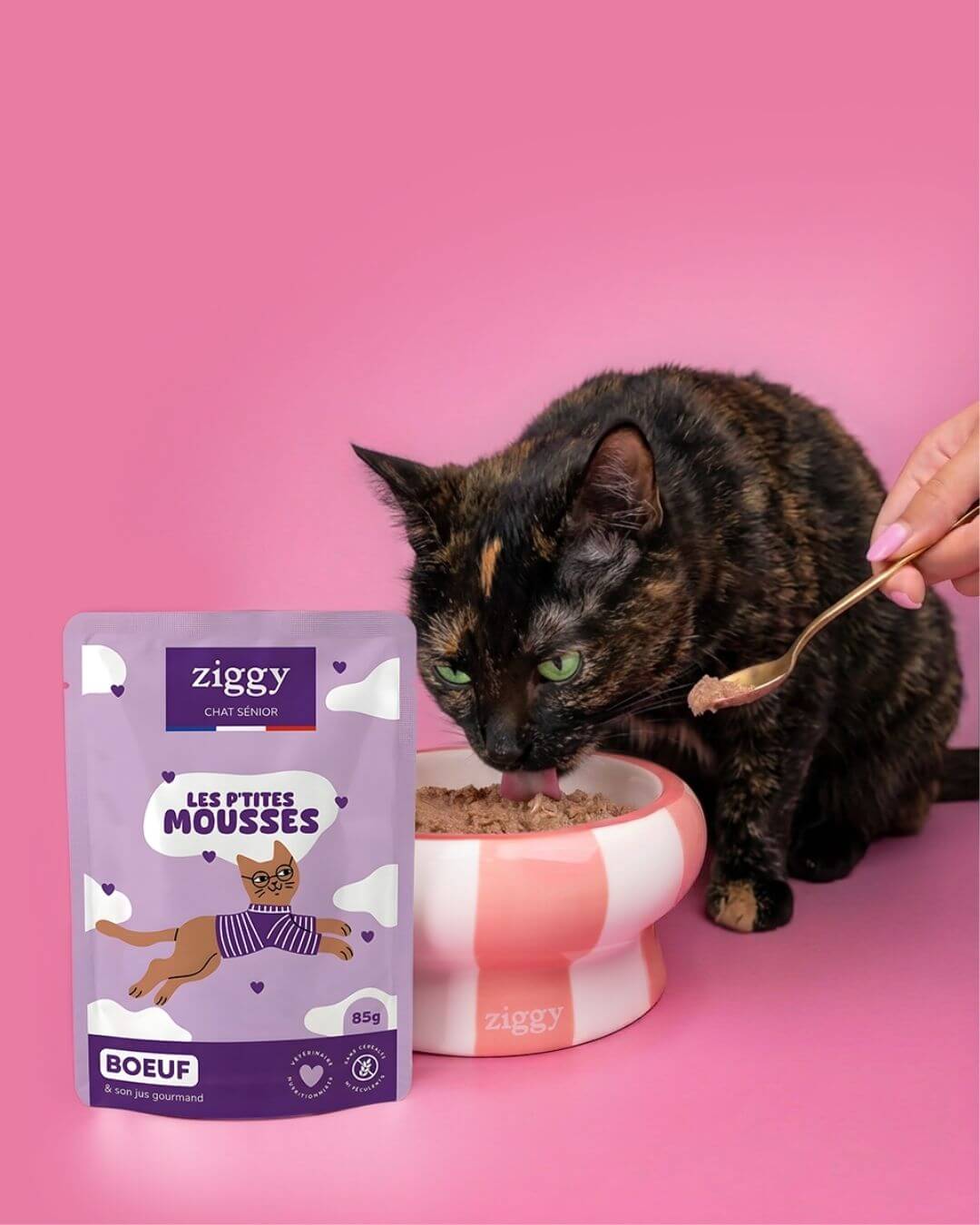 Chat noir mangeant dans une gamelle à côté d’un sachet de mousse Ziggy pour chat senior au bœuf