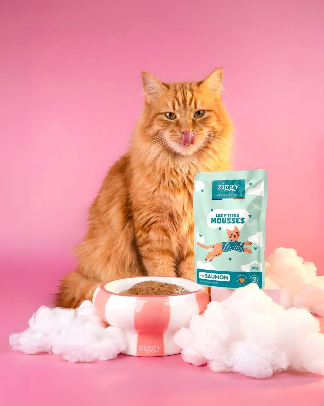 Chat roux assis derrière un sachet de mousse Ziggy pour chat stérilisé au saumon et sa gamelle