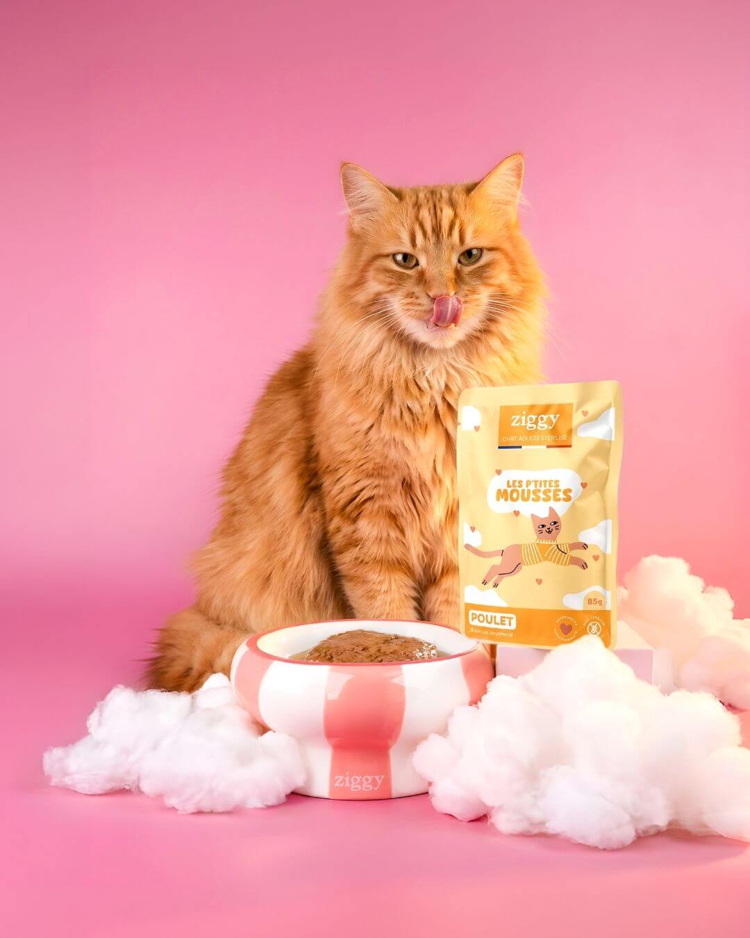 Chat roux assis devant un sachet de mousse Ziggy pour chat stérilisé au poulet et sa gamelle