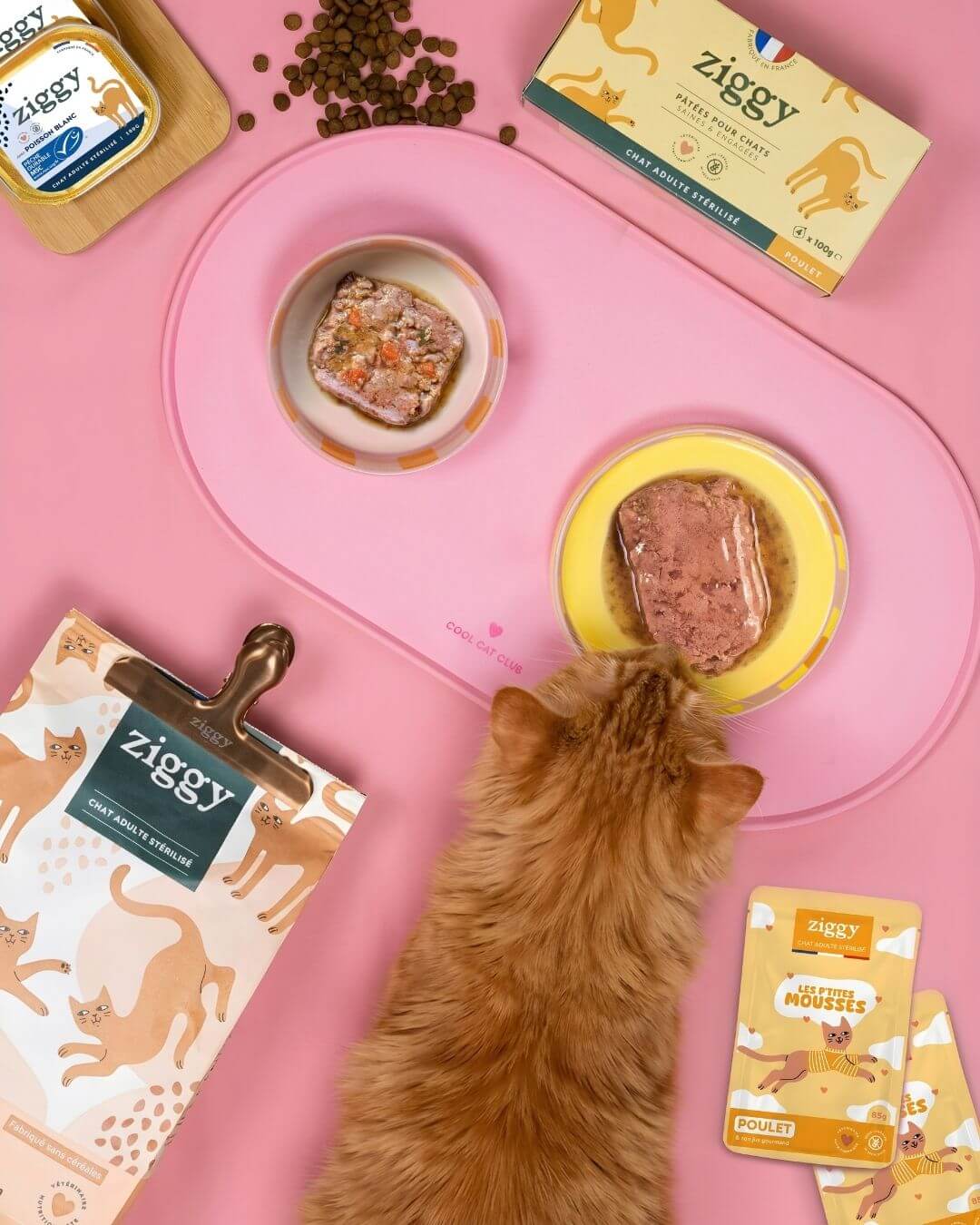 Vue du dessus d’un chat mangeant une mousse Ziggy pour chat stérilisé au poulet dans une gamelle rose, sachets autour