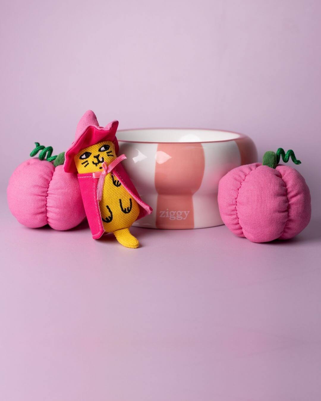Peluches citrouille roses à la cataire Ziggy de chaque côté de la mascotte Ziggy en sorcière, devant une gamelle