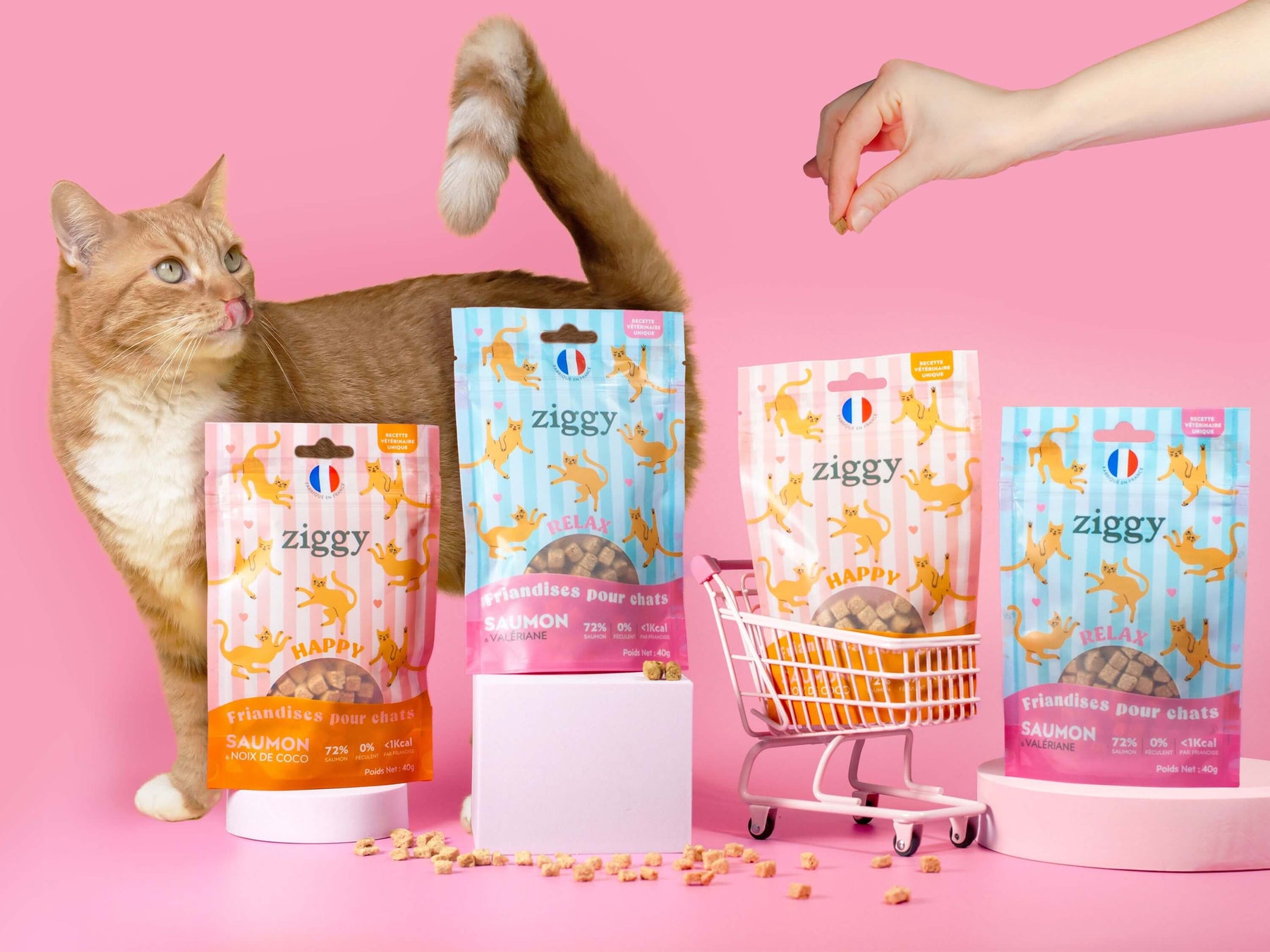 Friandises Ziggy, mise en scène avec plusieurs produits de la gamme