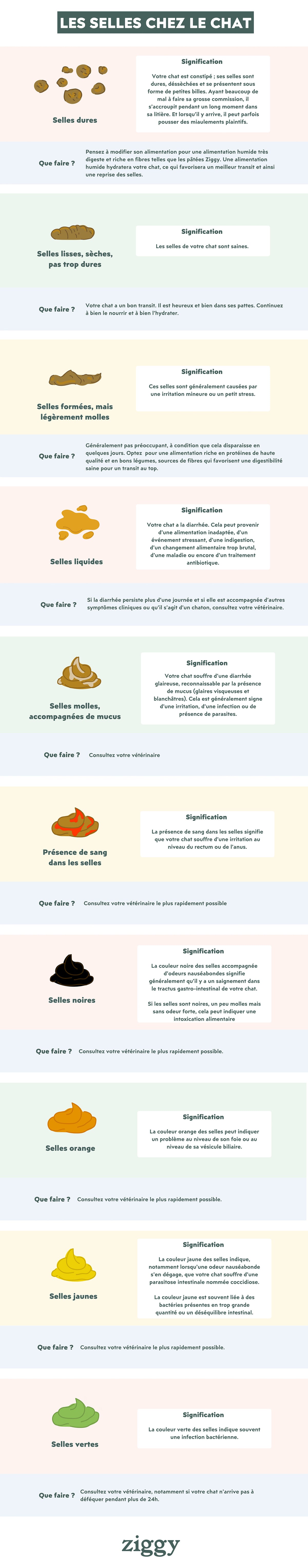 Les types de selles chez le chat