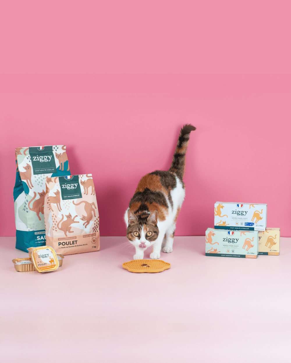 Très joli chat adulte stérilisé qui mange de la pâtée pour chat dans un tapis de léchage anti-glouton à côté des croquettes et pâtées pour chat Ziggy