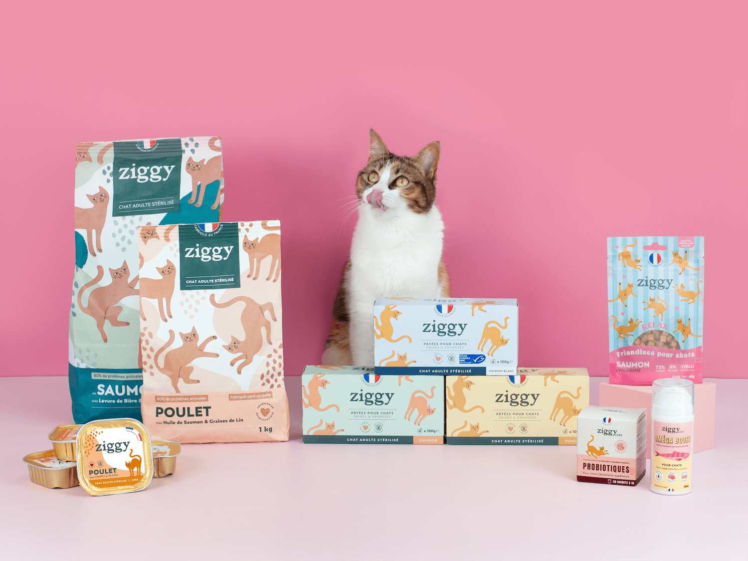 Chat adulte stérilisé à côté de la gamme de croquettes pour chat, pâtées pour chat, compléments alimentaires pour chat et friandises pour chat de la marque française Ziggy