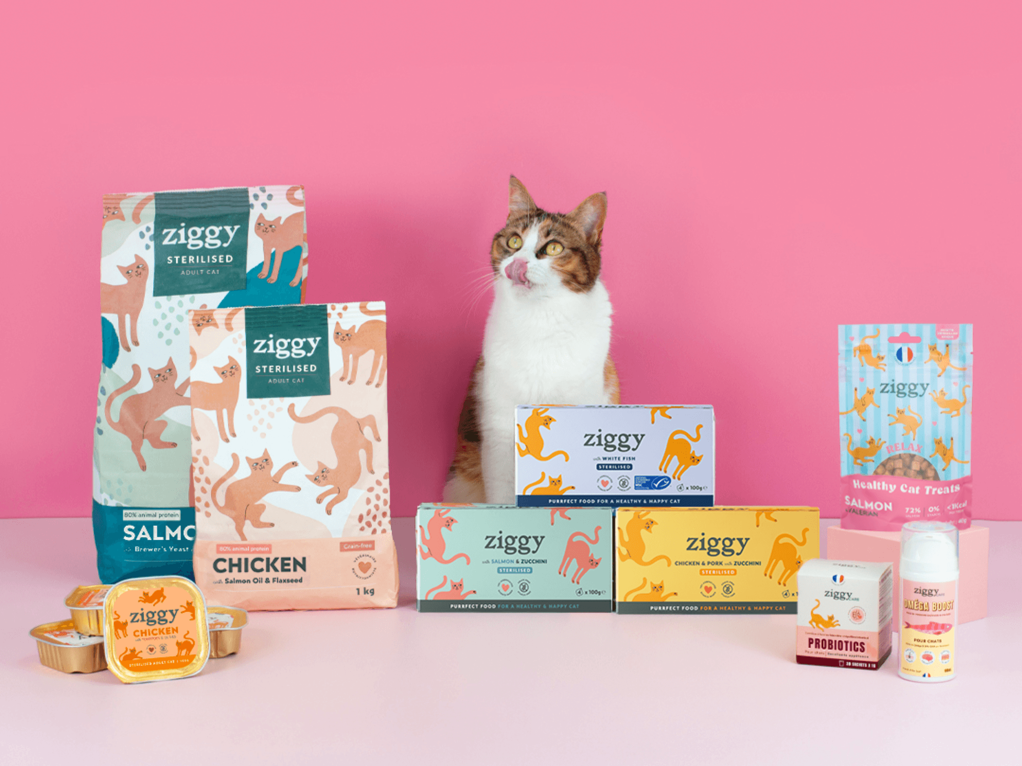 An adult cat next to Ziggy cat food (dry and wet)