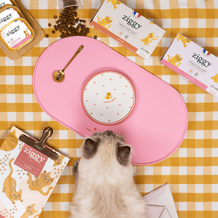 Assiette pour chaton Ziggy de la gamme Chaton d'Amour