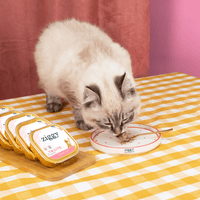Assiette pour chaton Ziggy de la gamme Chaton d'Amour