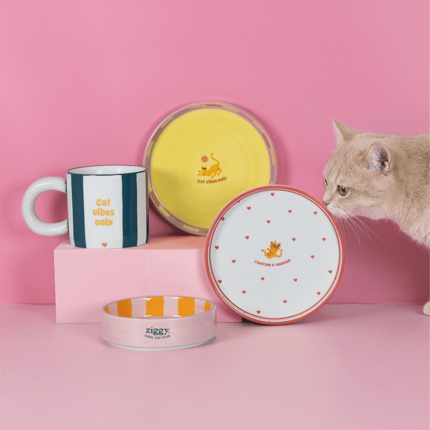 Gamme d'accessoires pour chat Ziggy Cat Vibes Only