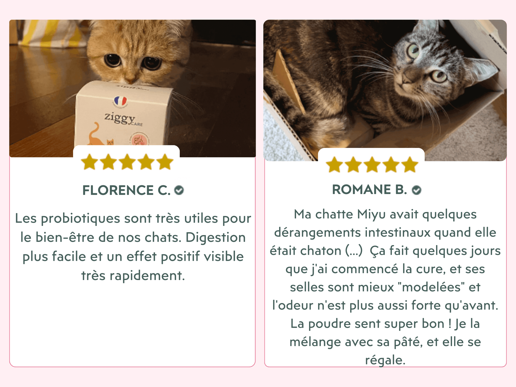 avis clients des probiotiques pour chat et chaton Ziggy