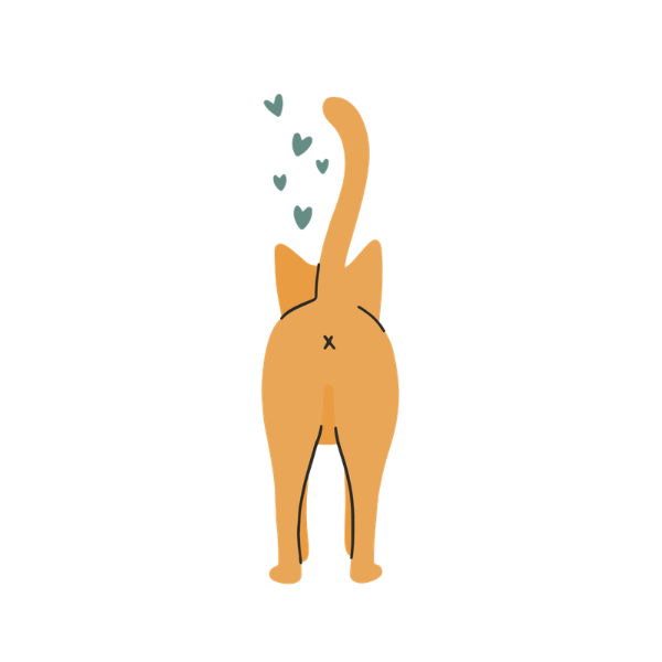 Pictogramme Ziggy montrant un chat de dos