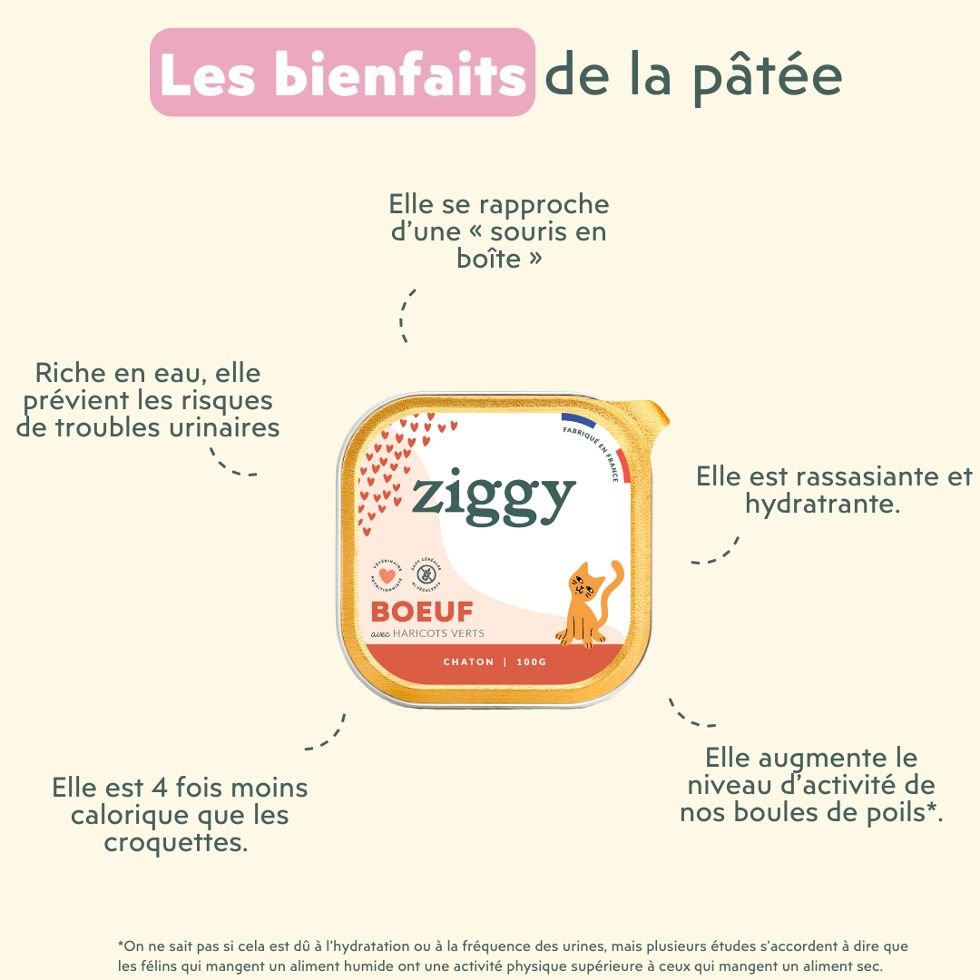 Les bienfaits de la pâtée pour chat