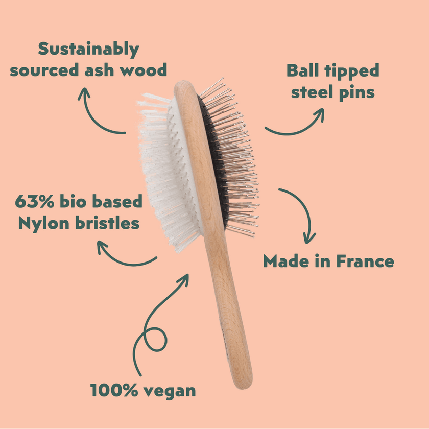 Cat being brushed with the Ziggy double-sided wooden brush