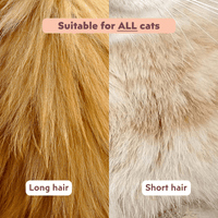 Cat being groomed with the Ziggy double-sided wooden brush