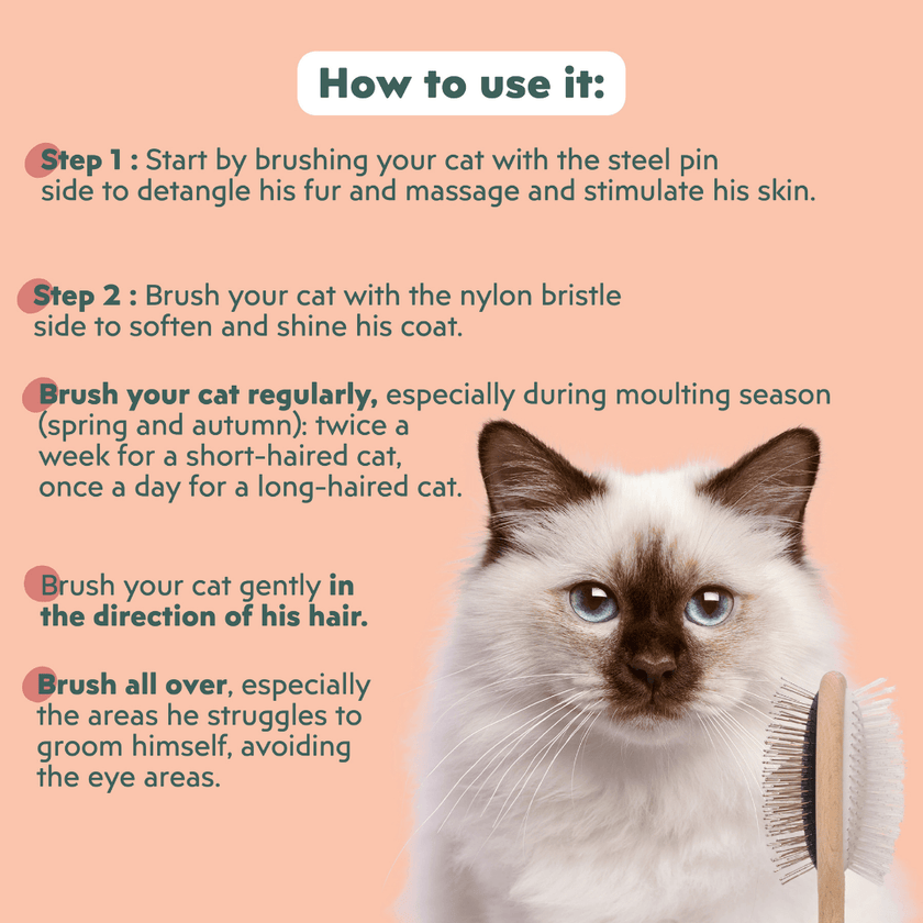 How to use the Ziggy double-sided wooden cat brush – grooming guide