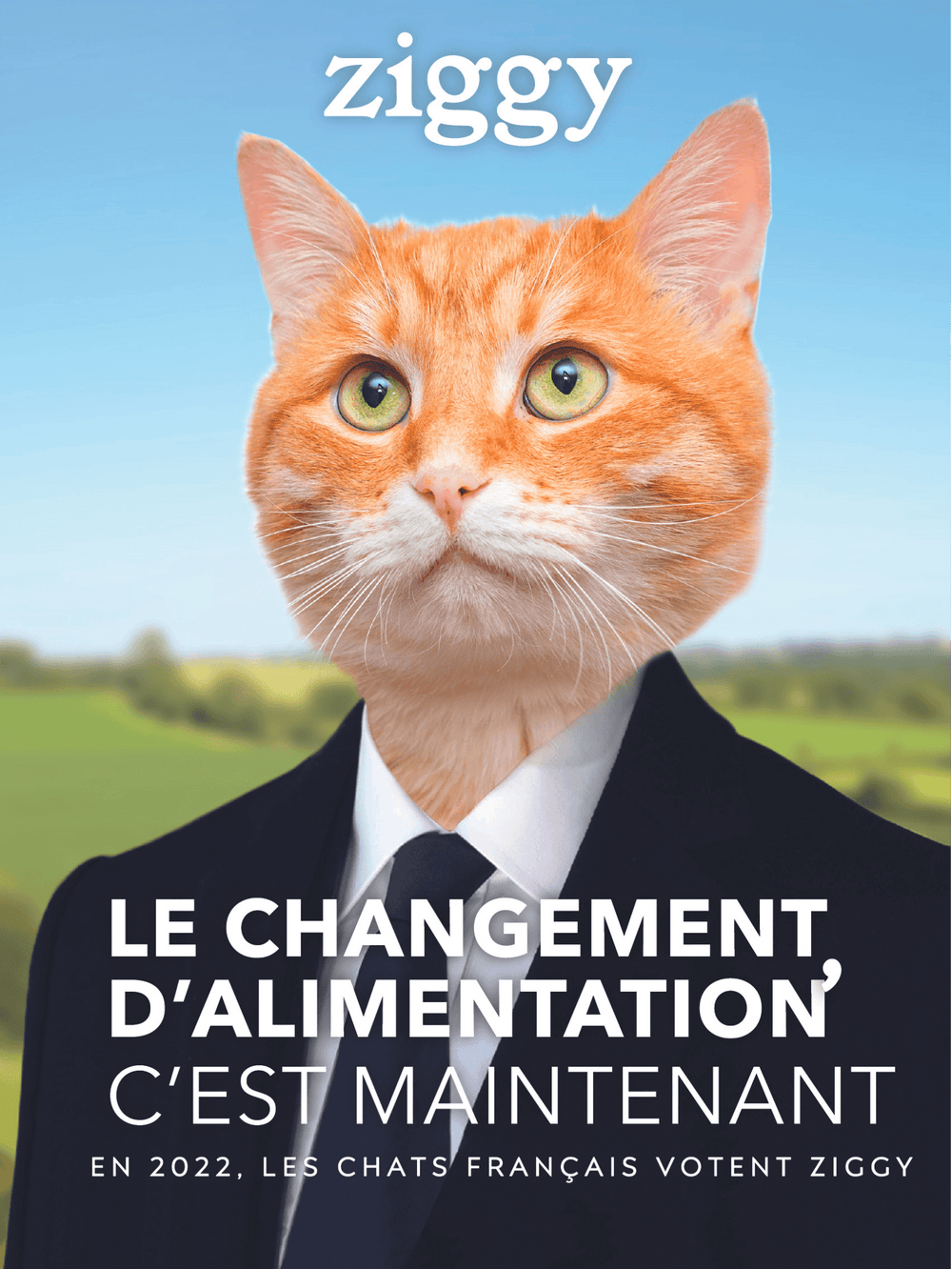 Affiche Ziggy le changement d'alimentation c'est maintenant de la campagne présidentielle