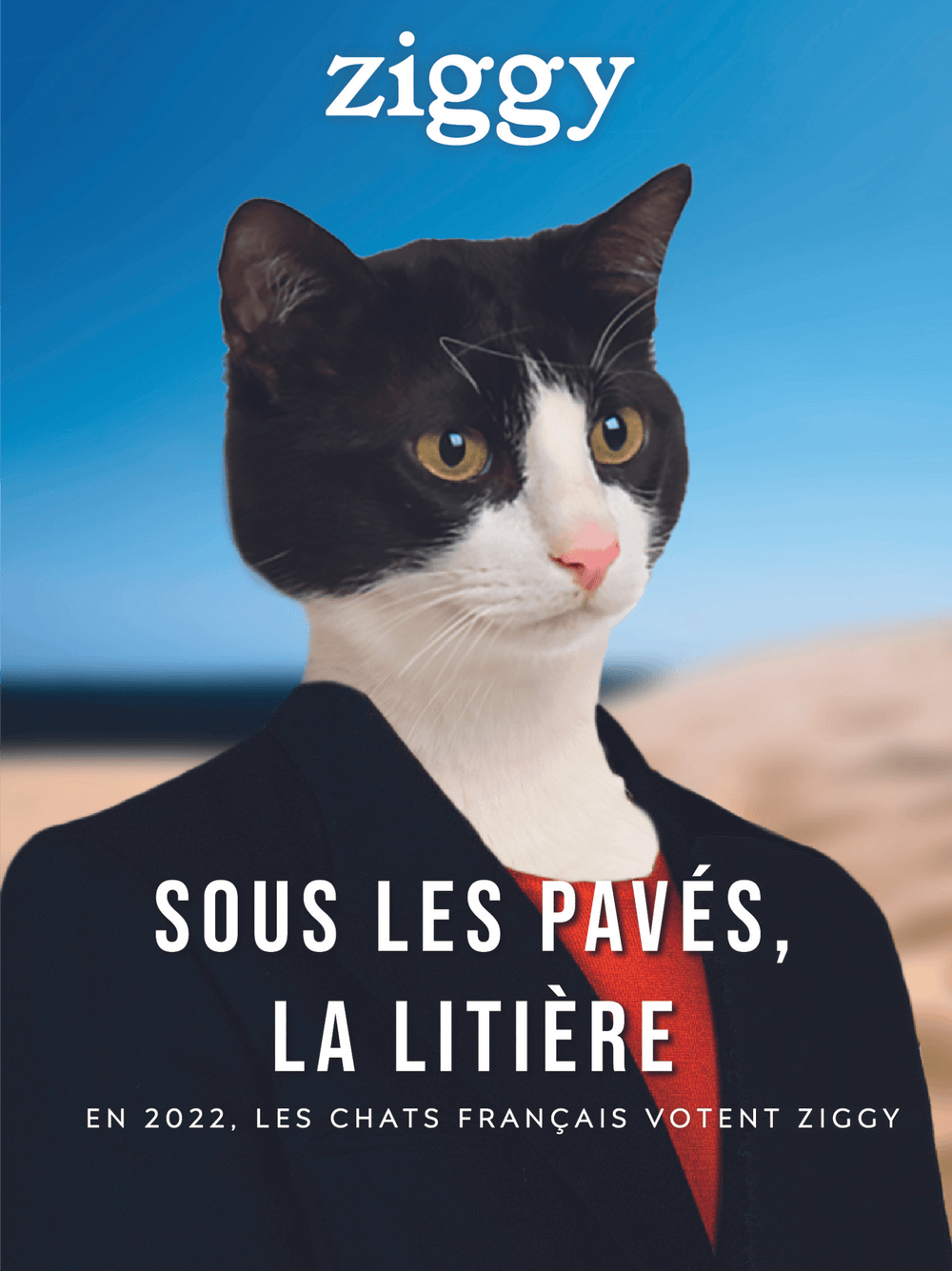 Affiche Ziggy sous les pavés la litière de la campagne présidentielle