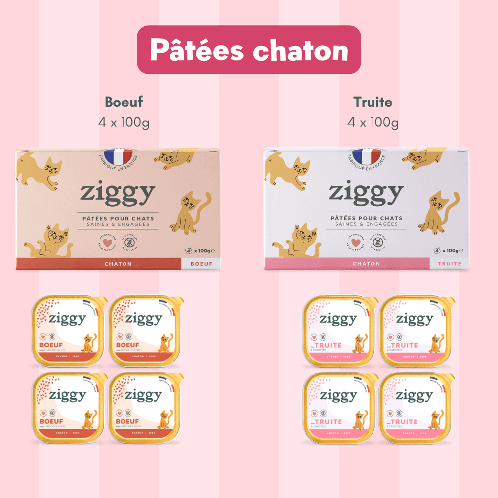 Composition du coffret pour chaton Ziggy alimentation pour chat et chaton saine et sans céréales