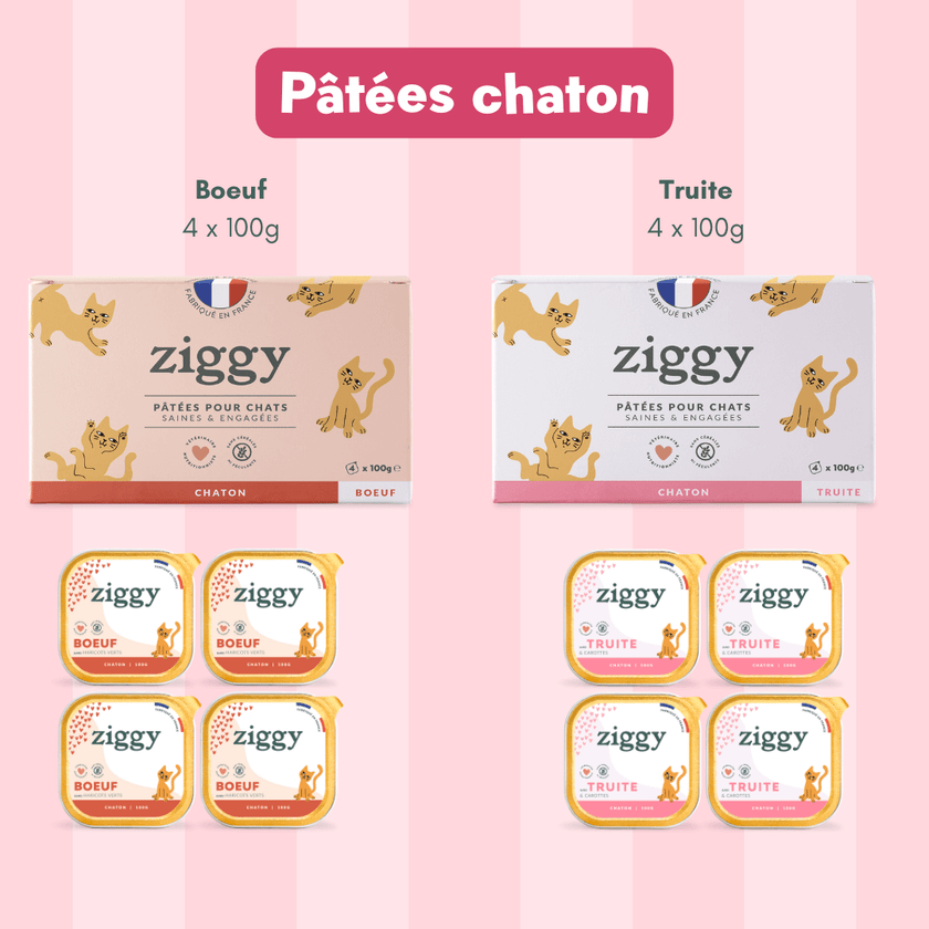 Composition du coffret pour chaton Ziggy alimentation pour chat et chaton saine et sans céréales