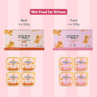 Ziggy Kitten Trout Pâté discovery box contents – variety pack of wet food pouches for kittens