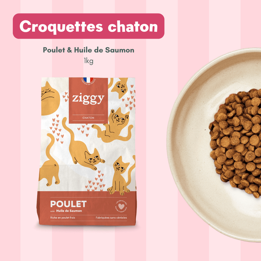 Paquet d'un kilos de croquettes Ziggy pour chaton saines et sans céréales au poulet
