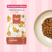 Ziggy Kitten Trout Pâté discovery box – variety pack of wet food pouches for kittens