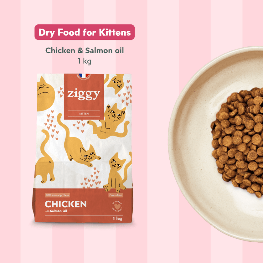 Ziggy Kitten Trout Pâté discovery box – variety pack of wet food pouches for kittens