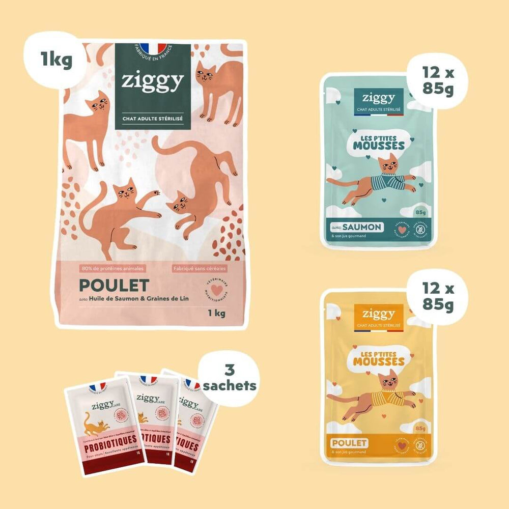 Contenu du Coffret Mousses Ziggy : 1 kg de croquettes au poulet, 24 mousses et 3 probiotiques