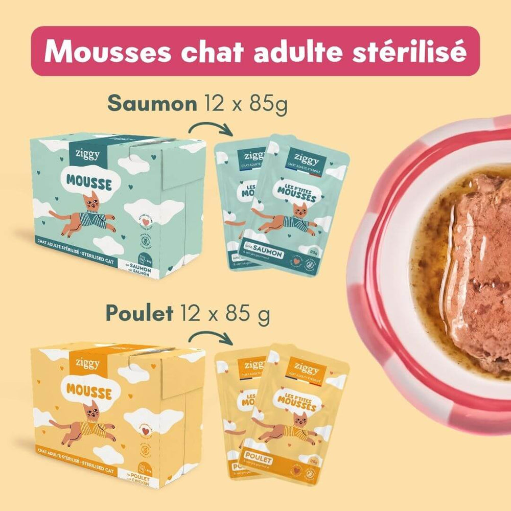 Contenu du Coffret Mousses Ziggy : 1 kg de croquettes au poulet, 24 mousses et 3 probiotiques
