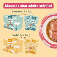 Les 24 mousses du Coffret Mousses Ziggy : saumon et poulet, avec un bol de mousse