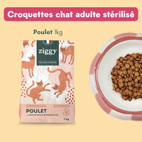 Les croquettes au poulet du Coffret Mousses Ziggy : sac de 1 kg et gamelle de croquettes sans céréales