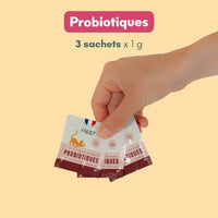 Main tenant un sachet de probiotiques Ziggy, 3 sachets inclus dans le Coffret Mousses