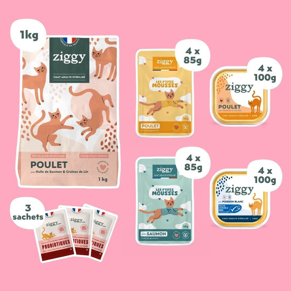Contenu du Coffret Ronrons Party Ziggy : 1 kg de croquettes au poulet, 8 mousses, 8 pâtées et 3 probiotiques