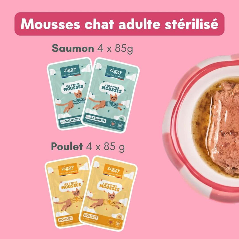 Les mousses du Coffret Ronrons Party Ziggy : saumon et poulet, avec un bol de mousse