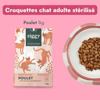 Les croquettes au poulet du Coffret Ronrons Party Ziggy : sac de 1 kg et gamelle de croquettes sans céréales