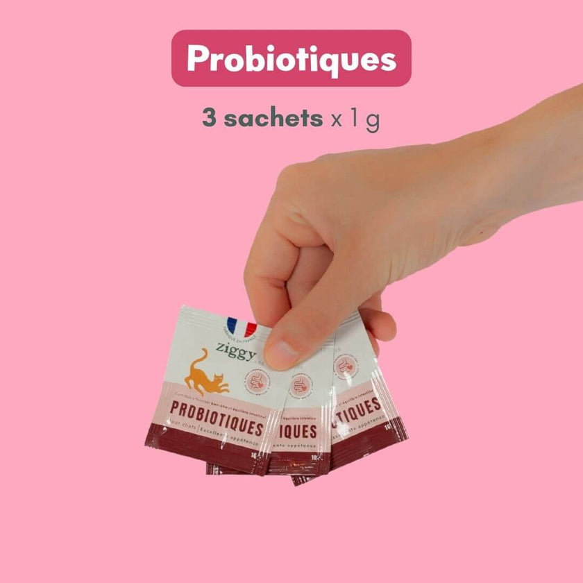 Main tenant un sachet de probiotiques Ziggy, 3 sachets inclus dans le Coffret Ronrons Party