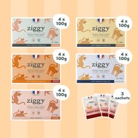 Coffret Découverte 5 Pâtées pour chat adulte stérilisé Ziggy