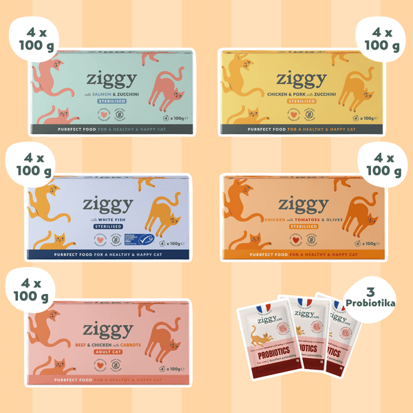 Coffret Découverte 5 Pâtées pour chat adulte stérilisé Ziggy