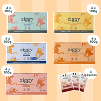 Ziggy Discovery Box for sterilized adult cats