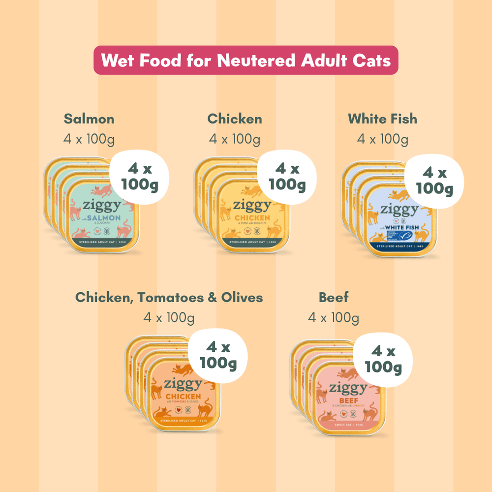 Coffret Découverte 5 Pâtées pour chat adulte stérilisé Ziggy