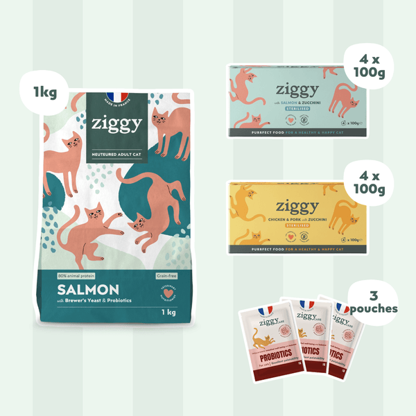 Composition du coffret pour chat adulte stérilisé Ziggy alimentation pour chat saine et sans céréales