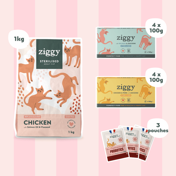 Composition du coffret pour chat adulte stérilisé Ziggy alimentation pour chat saine et sans céréales