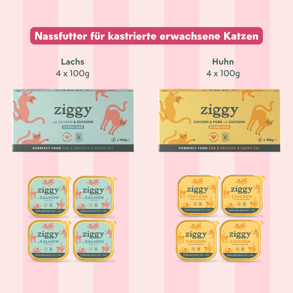 Coffret découverte chat adulte stérilisé