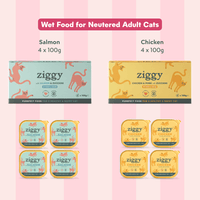 Ziggy Sterilized Chicken Pâté discovery box contents – variety pack of wet food pouches for cats
