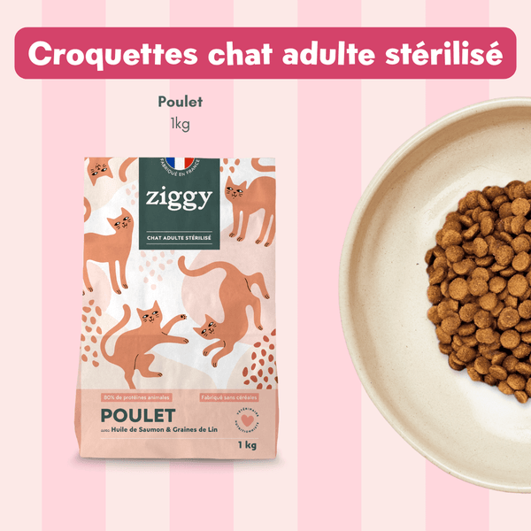 Coffret découverte chat adulte stérilisé
