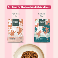 Ziggy Sterilized Chicken Pâté discovery box – variety pack of wet food pouches for cats