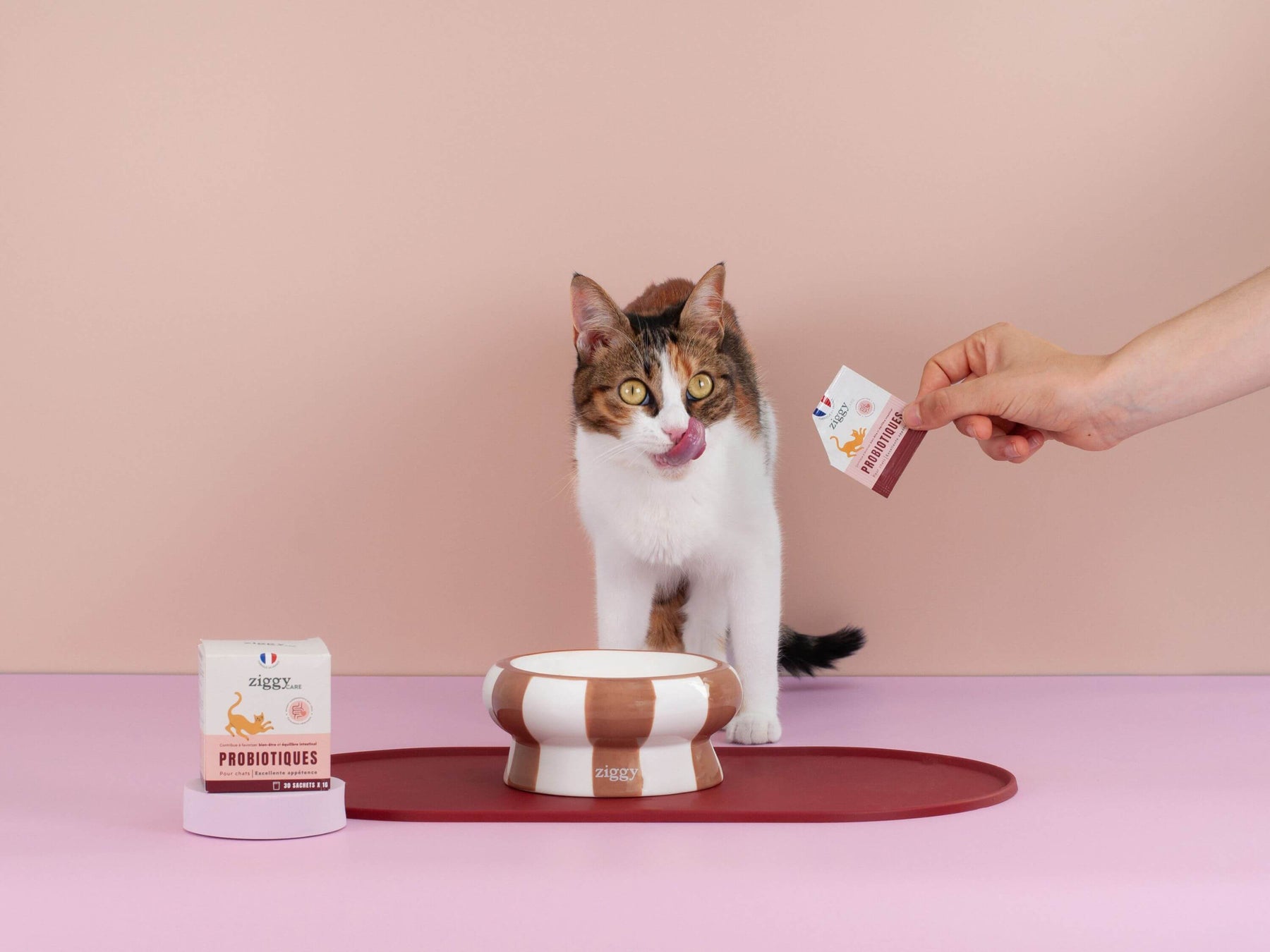 Probiotiques pour chat Ziggy
