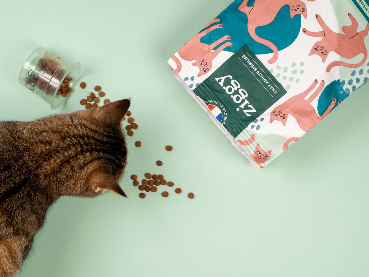 Croquettes pour chat adulte stérilisé au saumon Ziggy