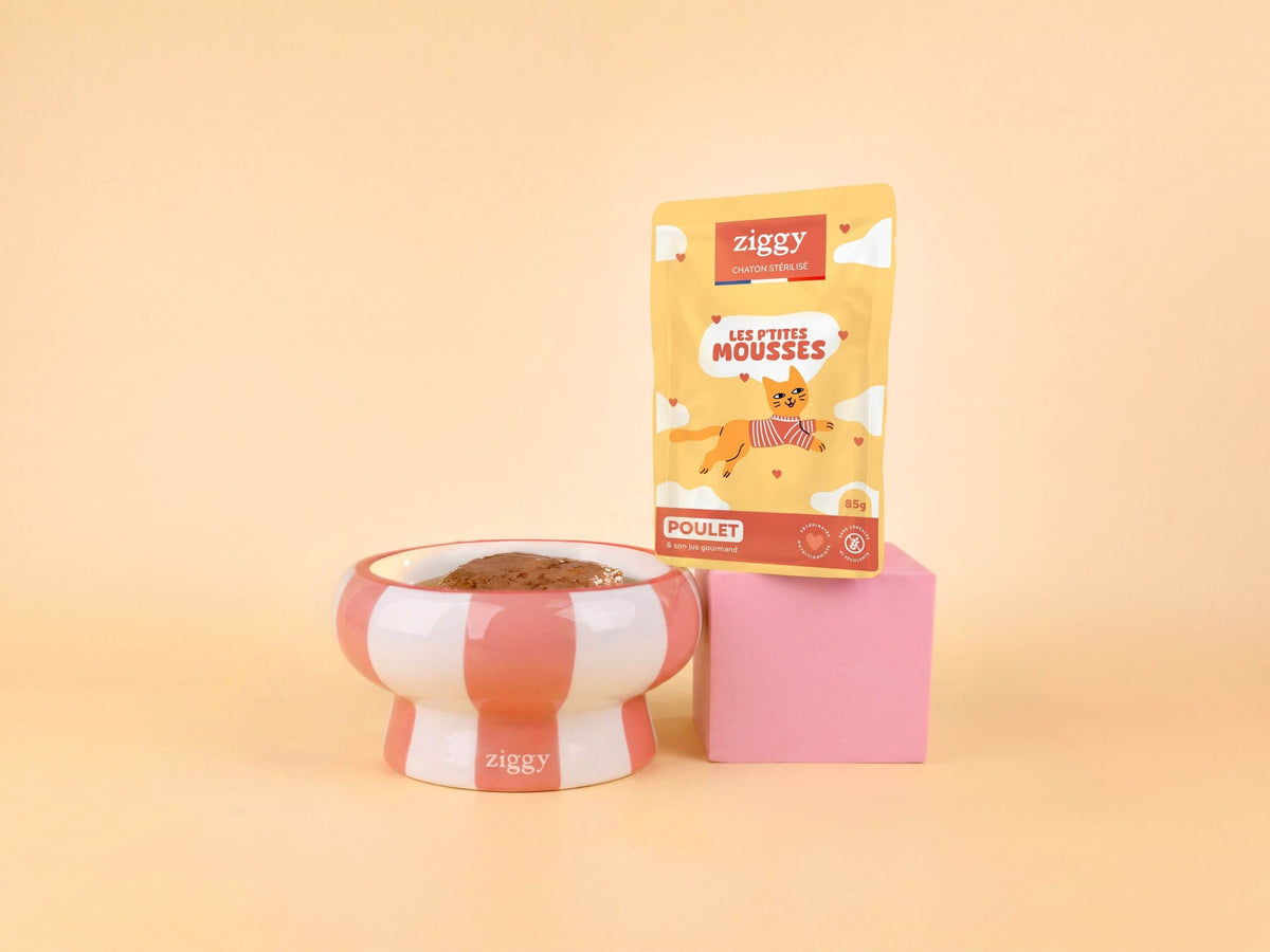 Mousse chaton stérilisé sans céréales au poulet Ziggy : sachet de 85 g à côté d’une gamelle de mousse fondante
